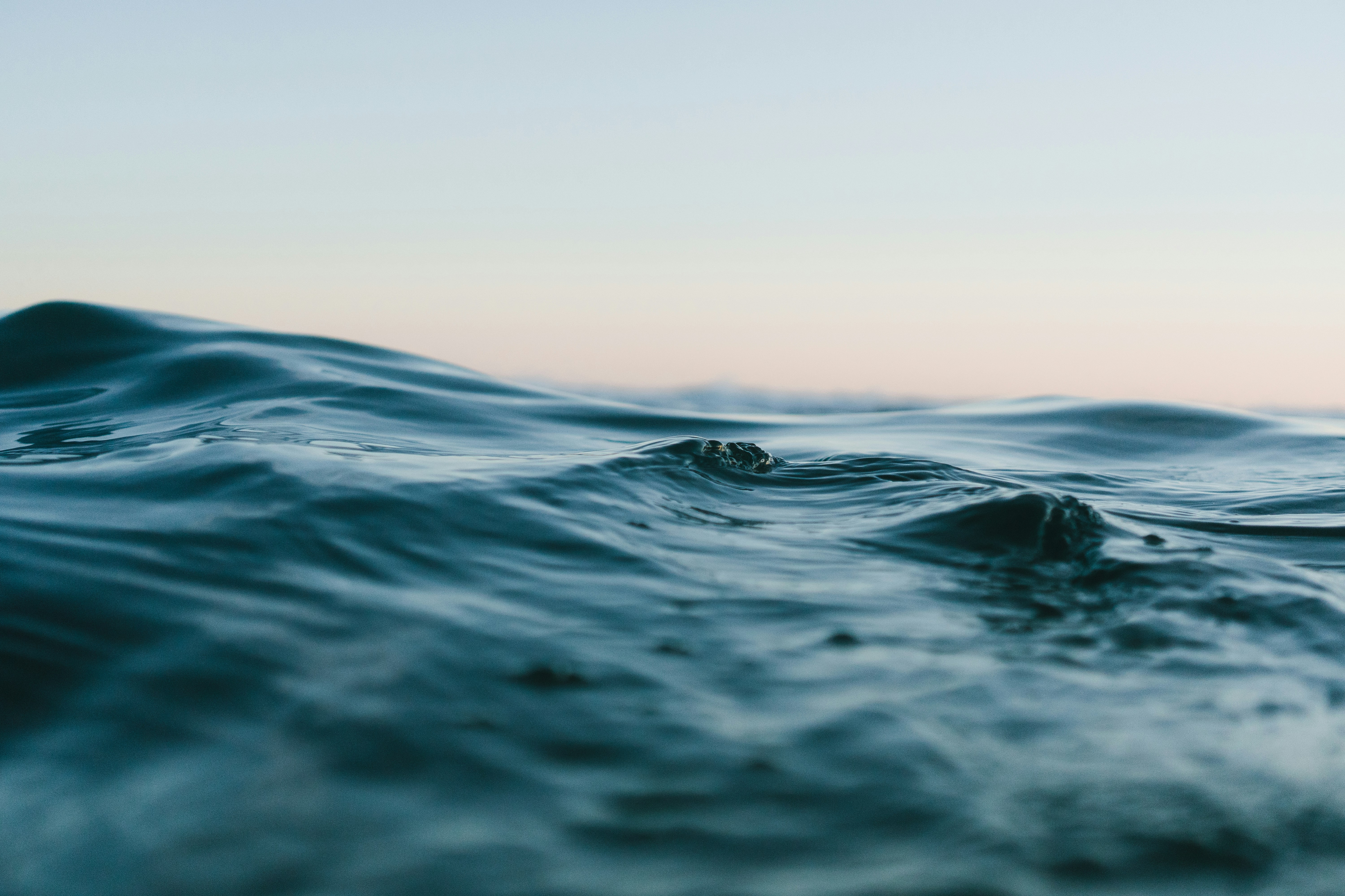 Water activity background